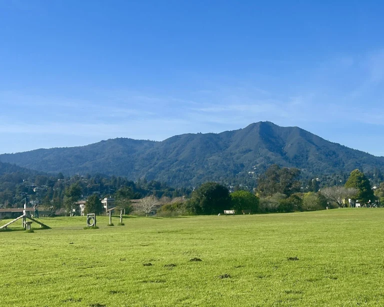 Mill Valley-Sausalito Path, a dog-friendly hiking trail in Mill Valley, California