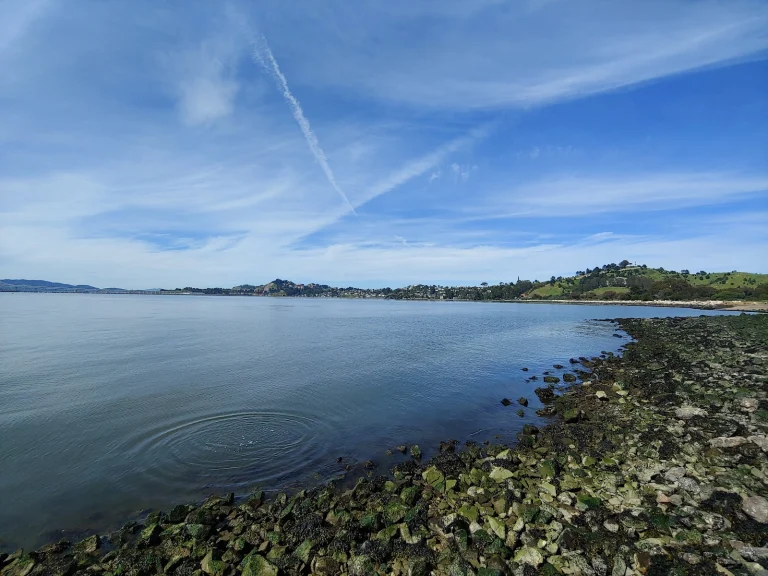Miller/Knox Regional Shoreline