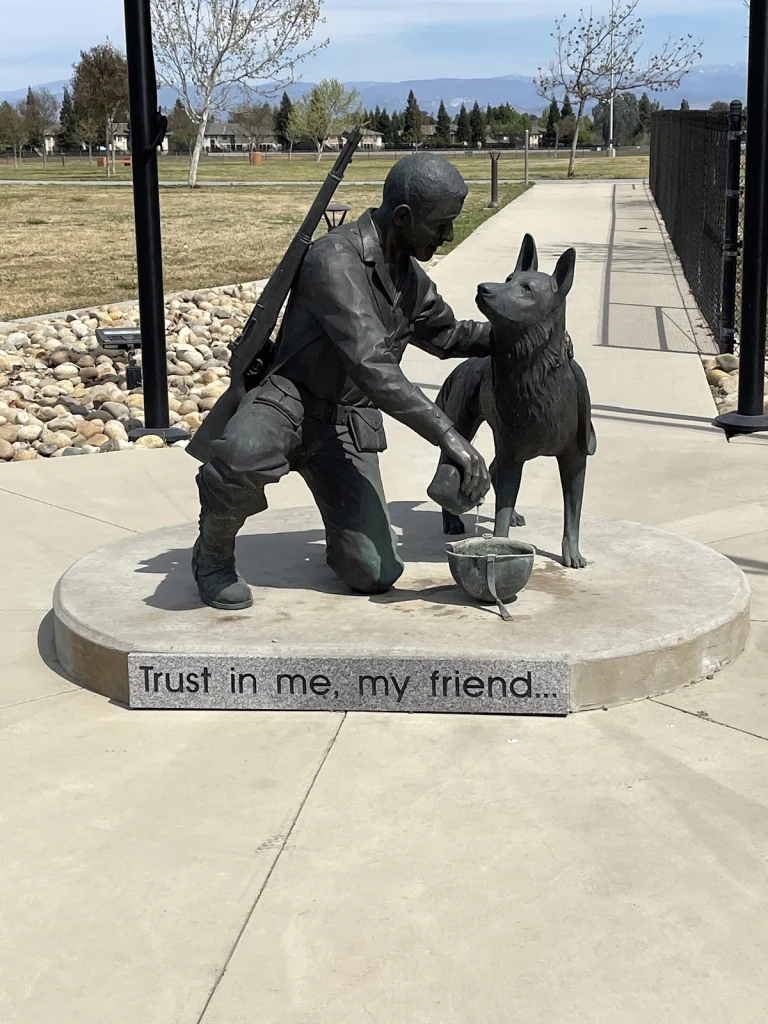 Miss Winkles Pet Adoption, a dog-friendly animal rescue in Clovis, California
