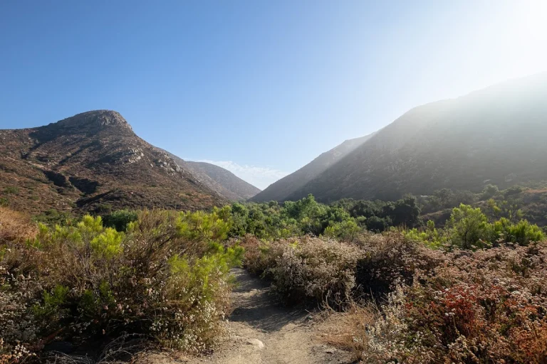 Mission Trails Regional Park, a dog-friendly hiking trail in San Diego, California