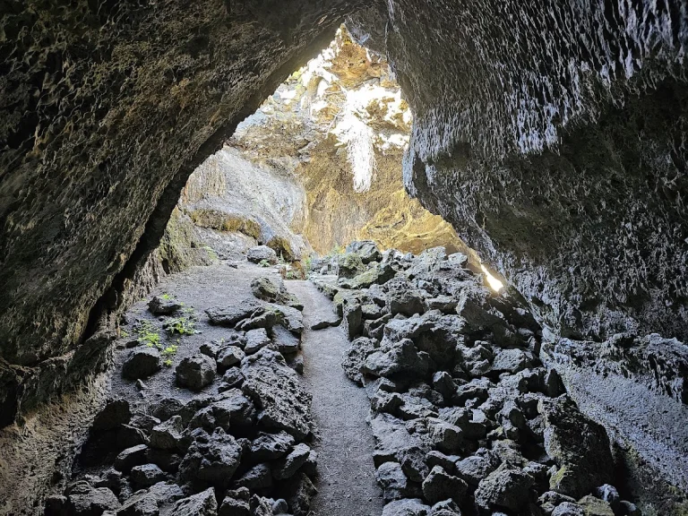 Modoc National Forest, a dog-friendly park in Alturas, California