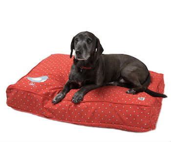 black dog on a red dog bed