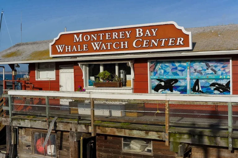 Monterey Bay Whale Watch Boat, a dog-friendly boating destination in Monterey, California