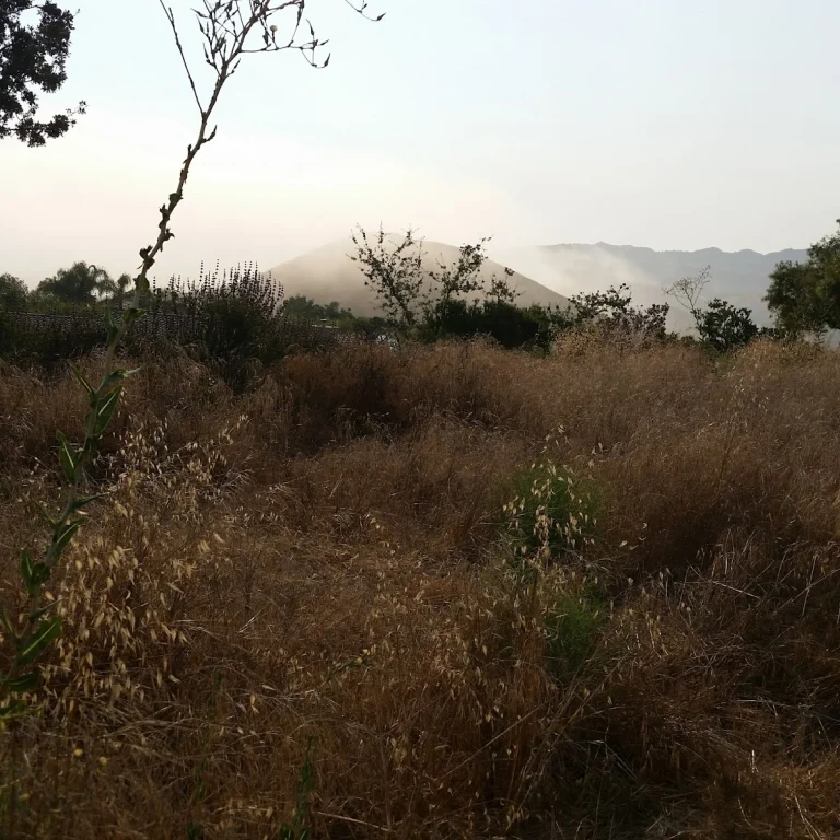Moonridge loop, Thousand Oaks