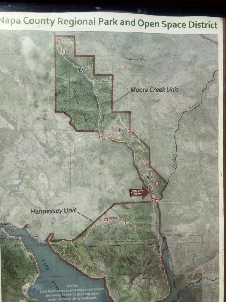 Moore Creek Park, a dog-friendly hiking trail in St. Helena, California