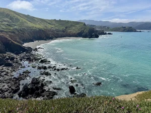 A dog’s spring bucket list for the SF Peninsula