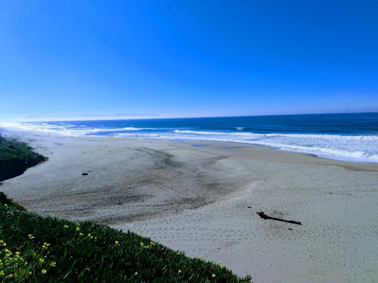 Moss Landing Beach
