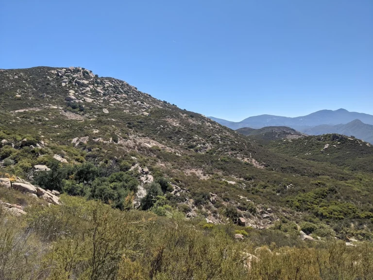 Mt. Gower Preserve