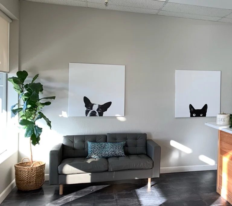 Mt. Hermon Veterinary Clinic, Scotts Valley