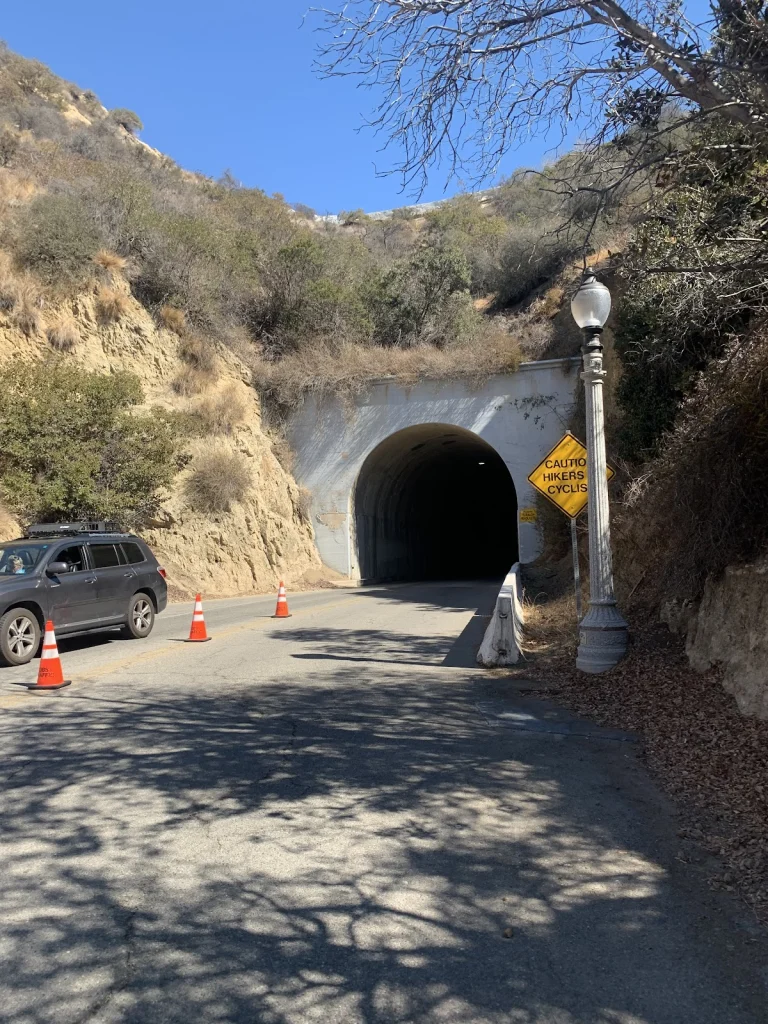 Mt. Hollywood, a dog-friendly hiking trail in Los Angeles, California