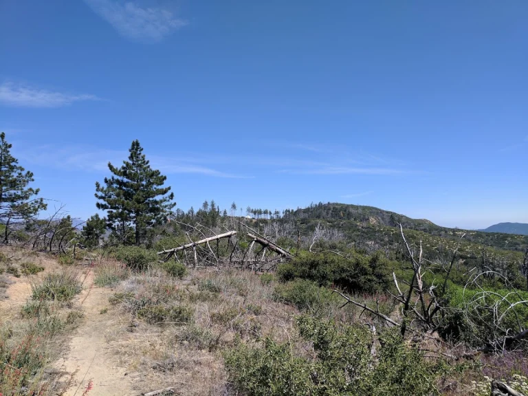 Mt. Mooney, a dog-friendly hiking trail in Los Angeles, California