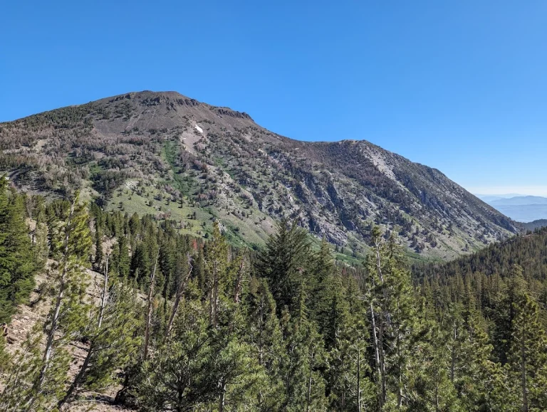 Mt. Rose Loop Trail, a dog-friendly hiking trail in New Washoe City, California