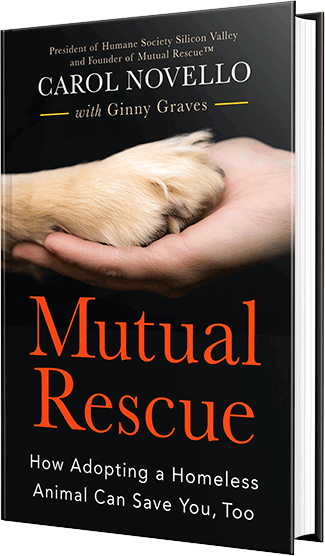 Mutual Rescue by Carol Novello