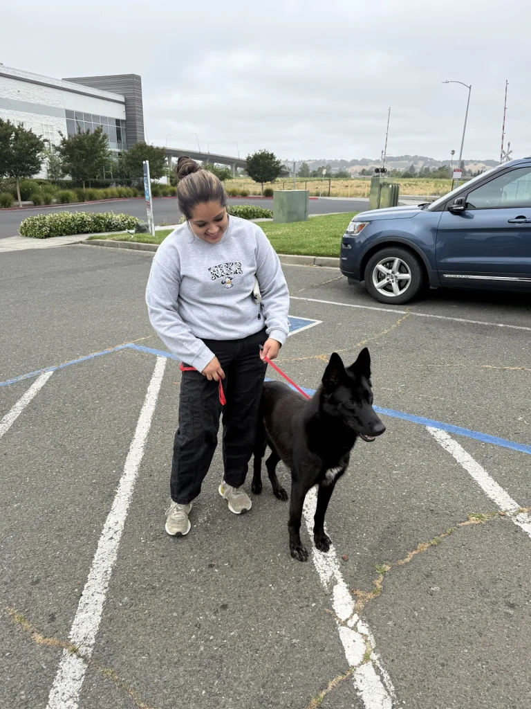 Napa County Animal Shelter, Napa