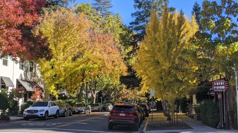 Napa Valley Vine Trail — Google Places photo