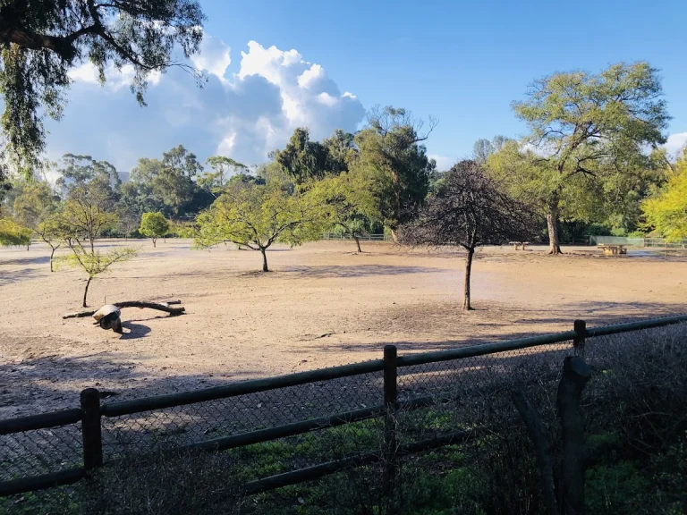 Nate’s Point dog park