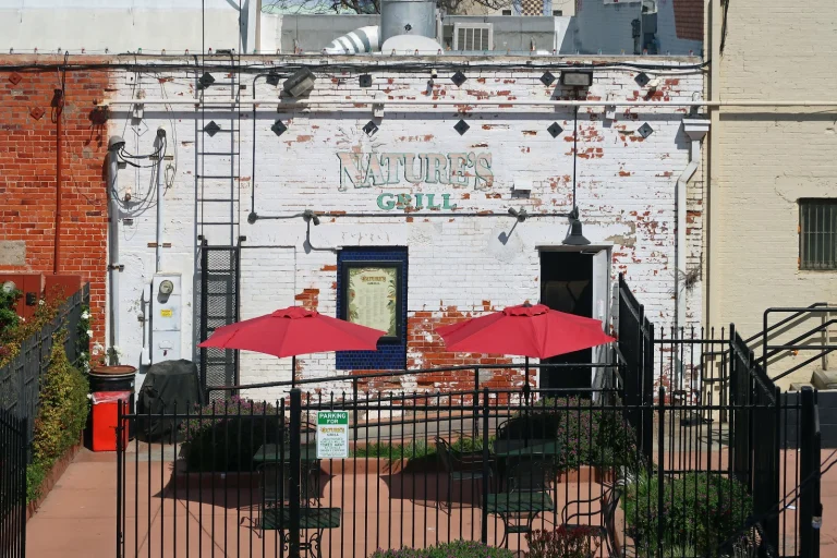 Nature's Grill & Juice Bar Google Places photo