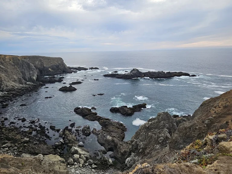 Navarro Point Trail, a dog-friendly hiking trail in Albion, California