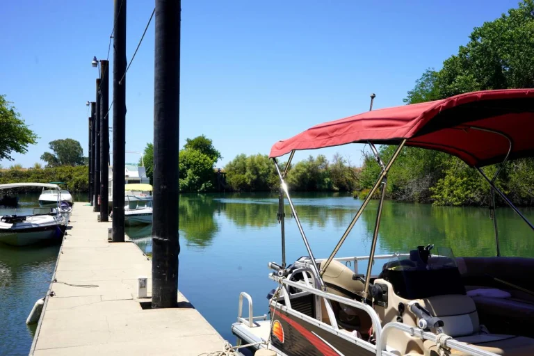 New Hope Landing RV & Marina, a dog-friendly campground in Thornton, California