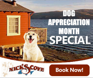 Dog Appreciation Month Special