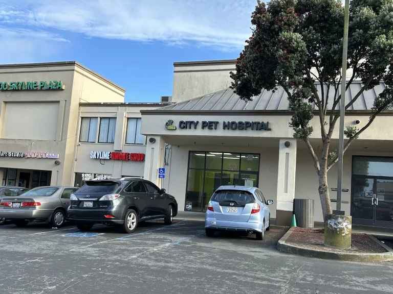 Nor Cal Veterinary Emergency