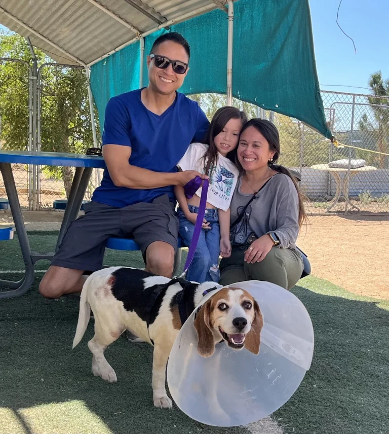NorCal Beagle Rescue, Fremont