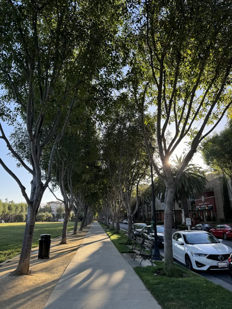 North Park Pines