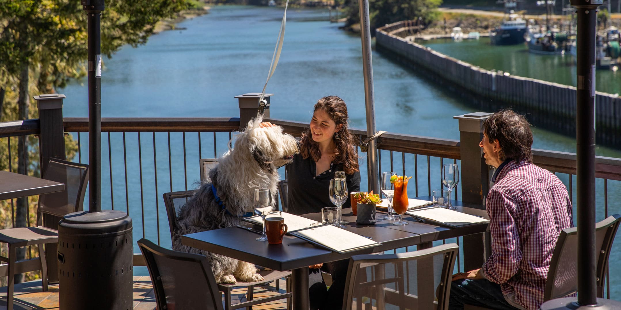 Dog and woman having a meal outside at Noyo Harbor Inn