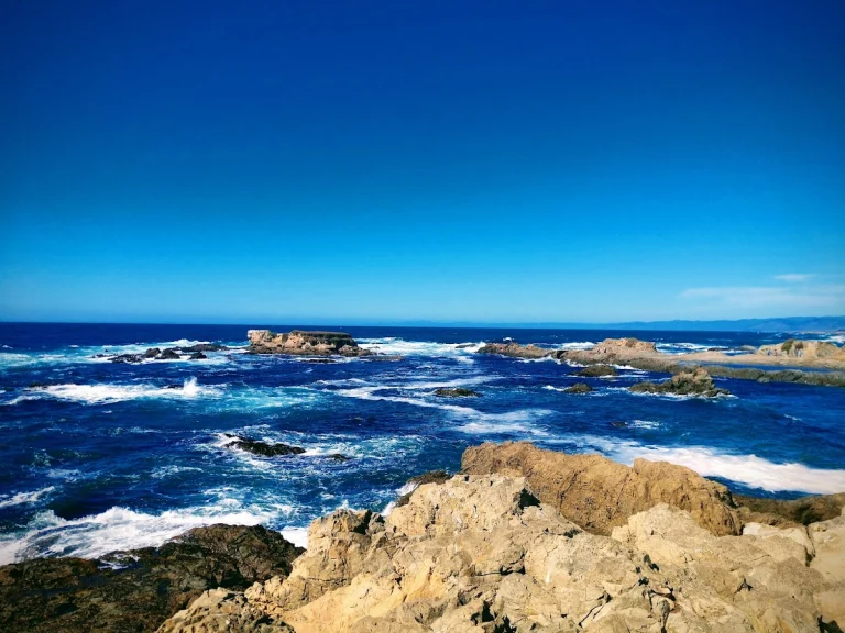 Noyo Headlands Coastal Trail, a dog-friendly hiking trail in Fort Bragg, California