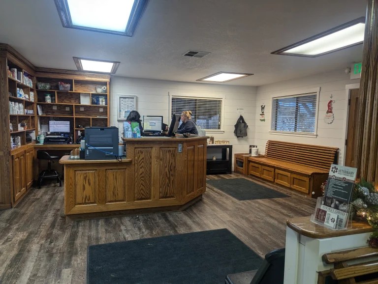 Oakhurst Veterinary Hospital Google Places photo