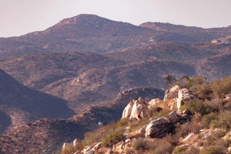 Oakoasis Preserve