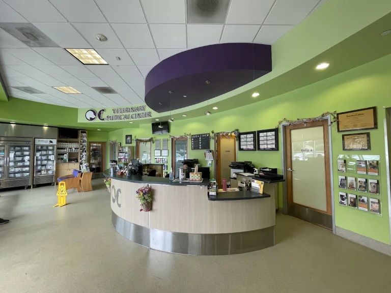 OC Veterinary Medical Center, a dog-friendly local service in Orange, California