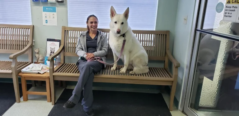 Ocean Animal Clinic, Santa Cruz