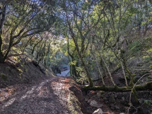 Ohlone Wilderness Regional Google Places photo