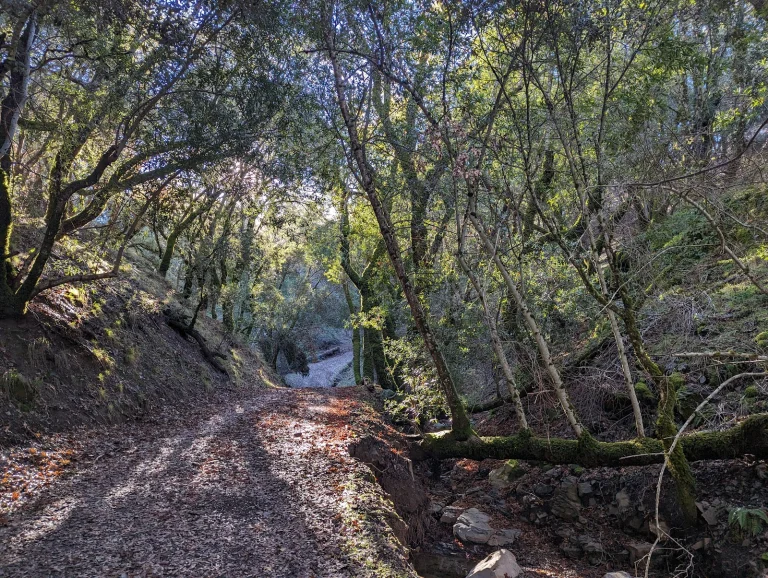 Ohlone Wilderness Regional