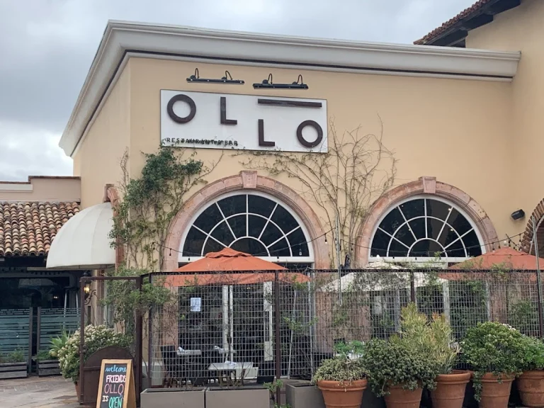 OLLO Restaurant & Bar, a dog-friendly restaurant in Malibu, California