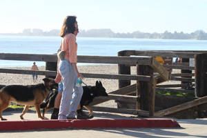 Dogs on Boardwalk