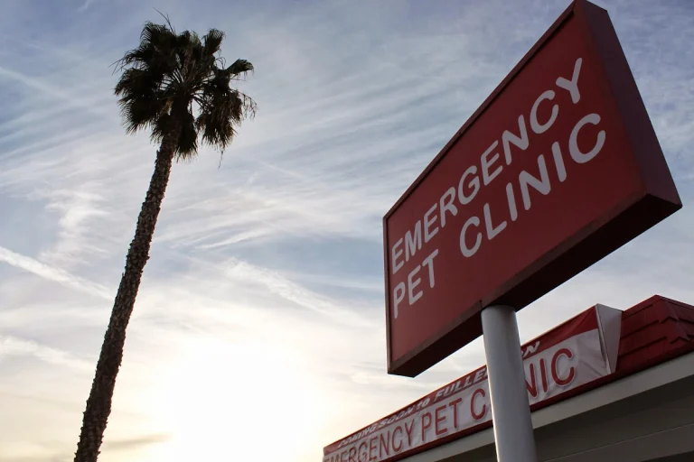 Orange County Emergency Pet, a dog-friendly veterinary clinic in La Habra, California