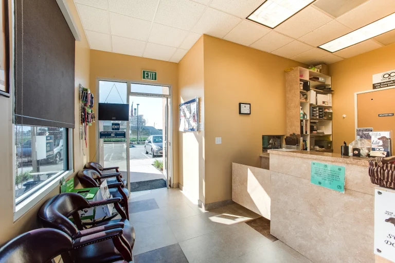 Orange County Humane Society