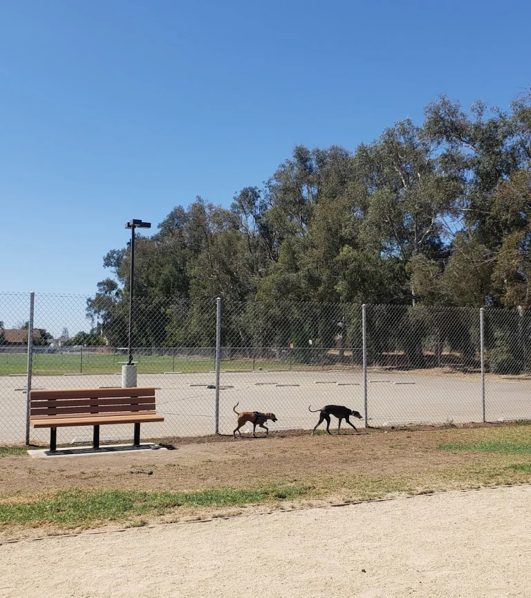 Orange Dog Park, a dog-friendly dog park in Orange, California