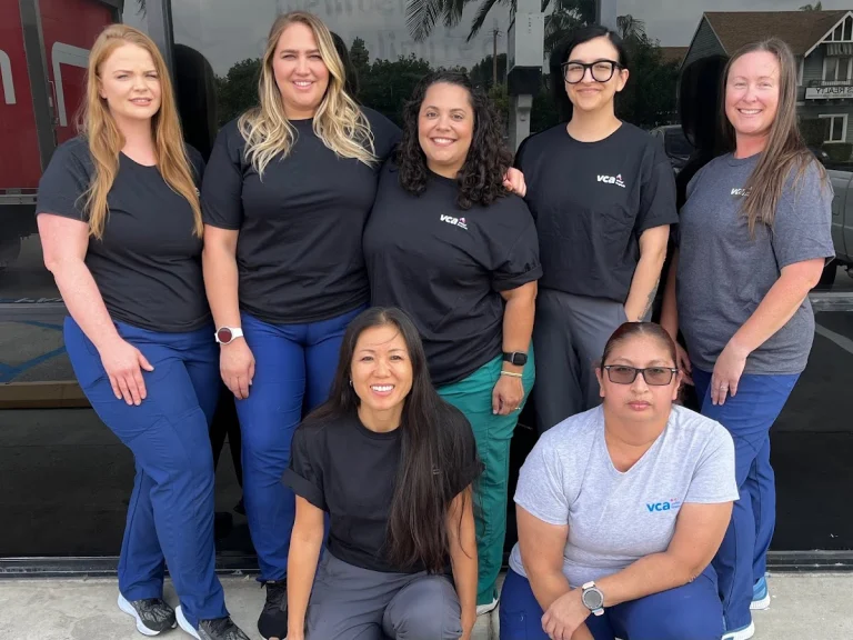 Orange Veterinary Hospital, a dog-friendly veterinary clinic in Orange, California