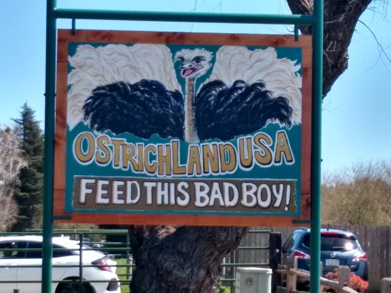 Ostrichland USA Google Places photo