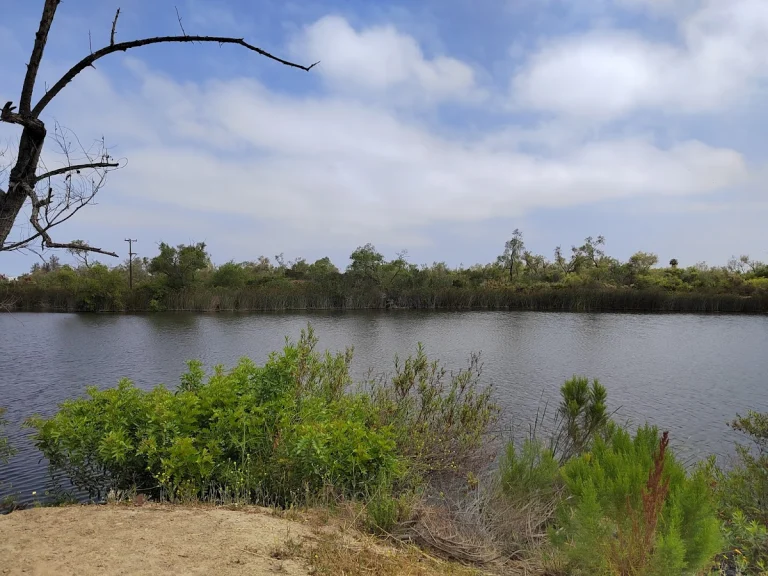 Otay Valley Regional Park, a dog-friendly park in San Diego, California