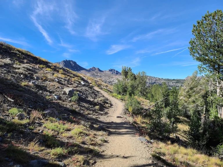 Pacific Crest Trail, a dog-friendly hiking trail in Santa Clarita, California