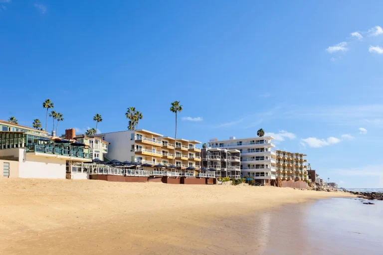 Pacific Edge Hotel, a dog-friendly hotel in Laguna Beach, California