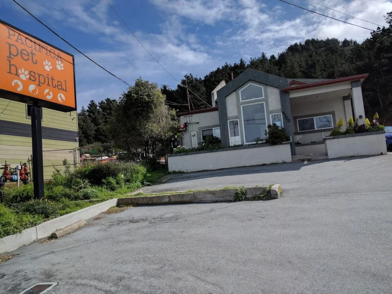 Pacifica Pet Care, a dog-friendly pet boarding facility in Pacifica, California