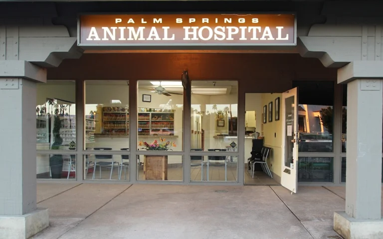 Palm Springs Animal Hospital