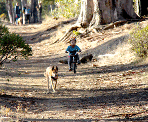Child with dog at Sorich Park