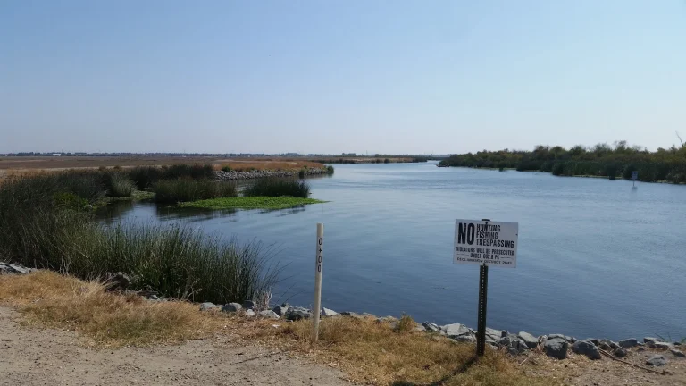 Paradise Point Marina