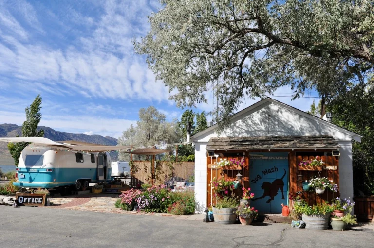 Paradise Shores RV Park, a dog-friendly campground in Bridgeport, California